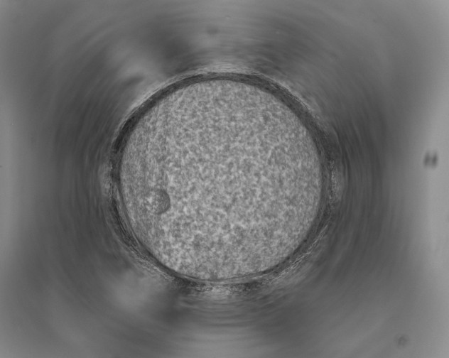 X0000094071266200711091143
