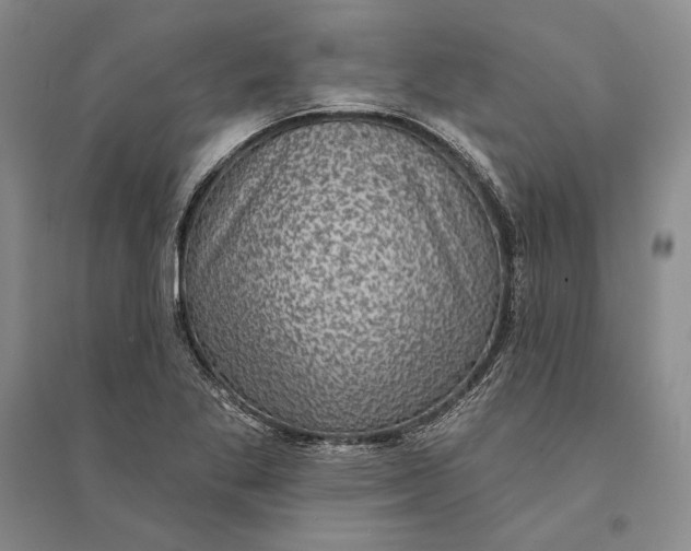 X0000094071269200711091143