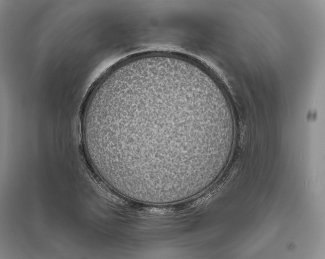 X0000094071271200711091143