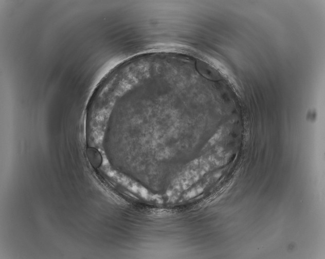 X0000094071275200711091143
