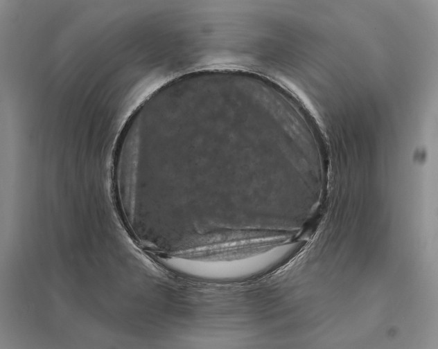 X0000094071277200711091143