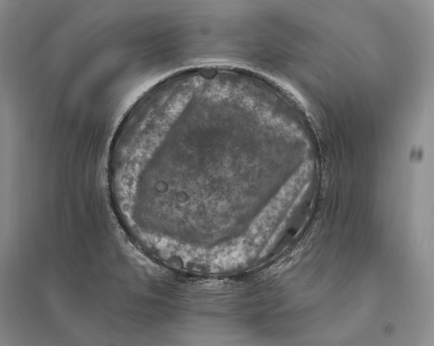 X0000094071279200711091143