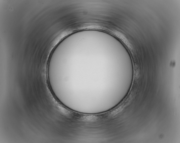 X0000094071282200711091143