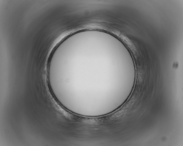 X0000094071286200711091143