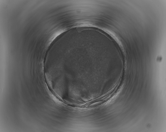 X0000094071289200711091143