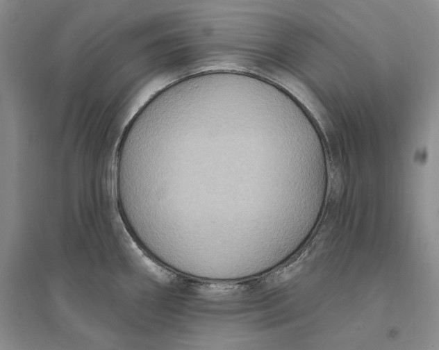 X0000094071290200711091143