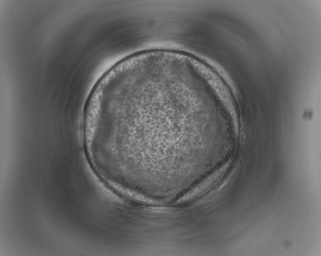 X0000094071295200711091143