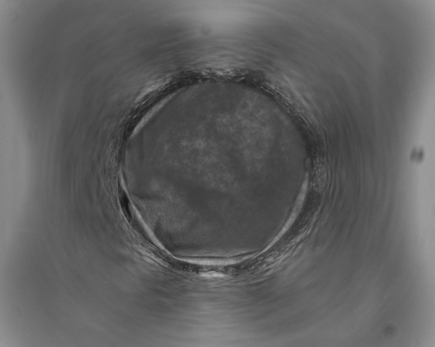 X0000094071297200711091142