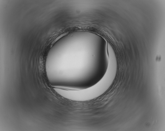 X0000094071298200711091142