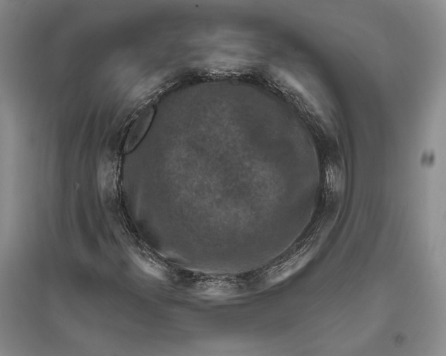 X0000094071300200711091142