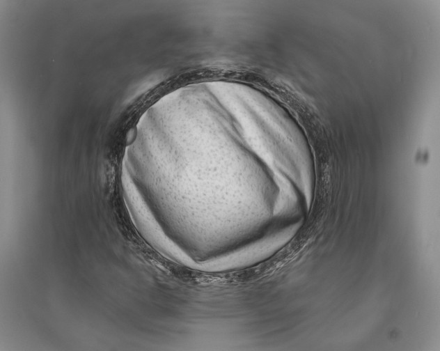 X0000094071302200711091142