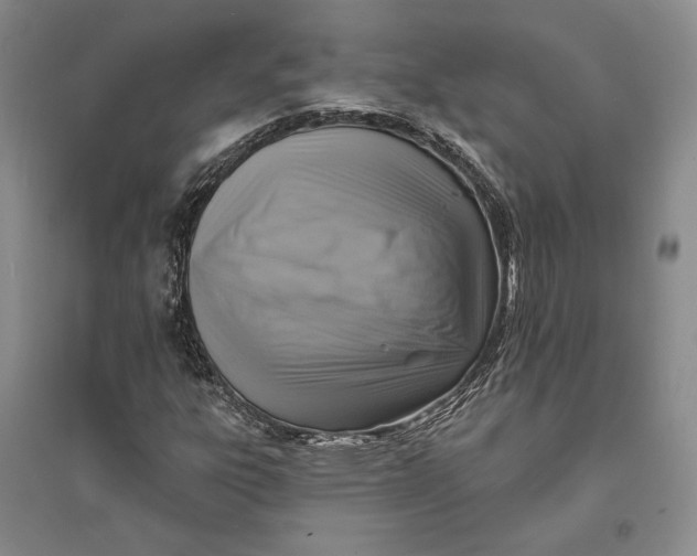 X0000094071303200711091142