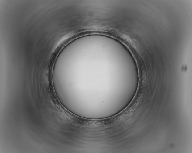 X0000094071307200711091142