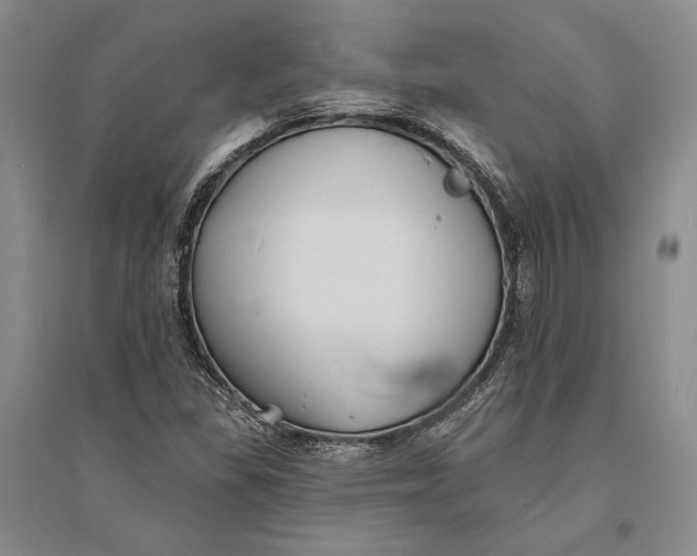 X0000094071309200711091142
