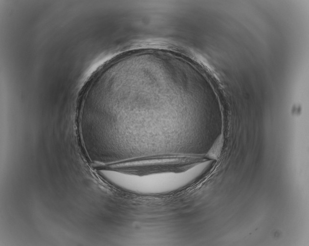 X0000094071312200711091142
