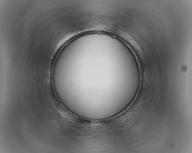X0000094071316200711091142