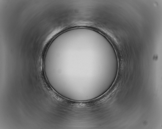 X0000094071317200711091142