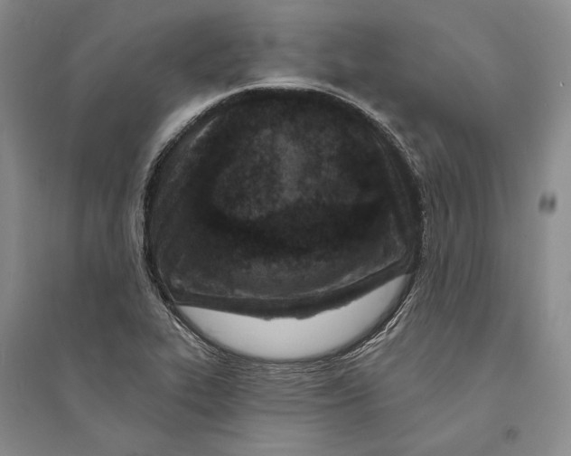 X0000094071319200711091143