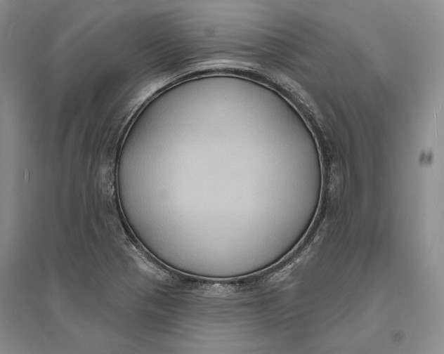 X0000094071321200711091143