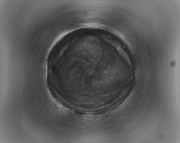 X0000094071323200711091143