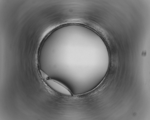 X0000094071328200711091143