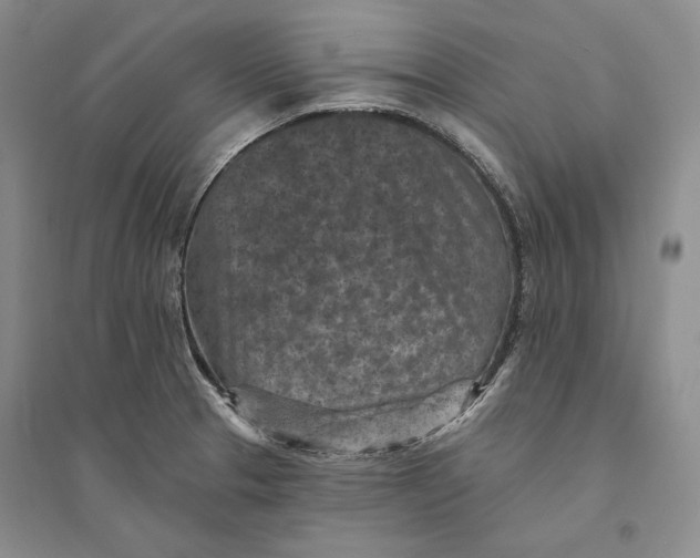 X0000094071329200711091143