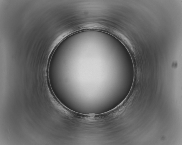 X0000094071330200711091143