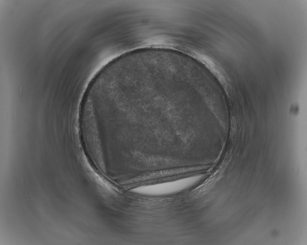 X0000094071331200711091143
