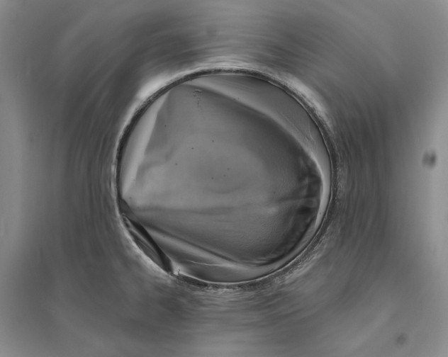 X0000094071334200711091143