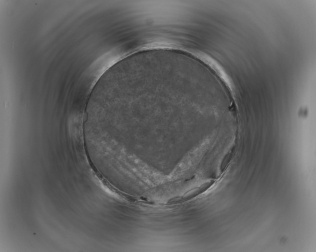 X0000094071337200711091143