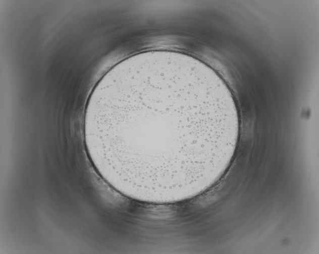 X0000094071338200711091143