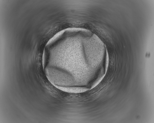 X0000094071346200711091142