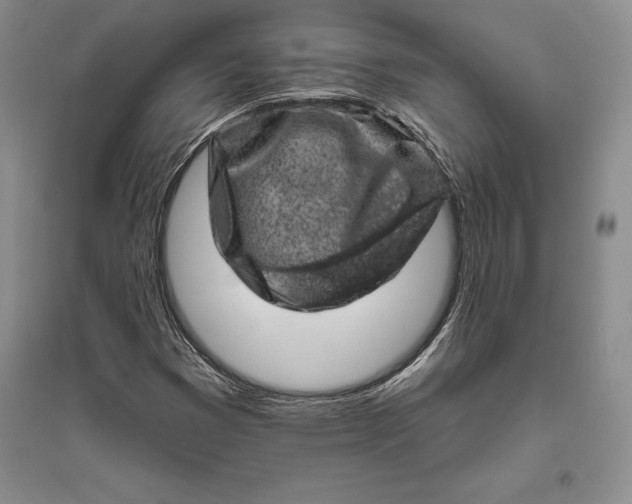 X0000094071353200711091142
