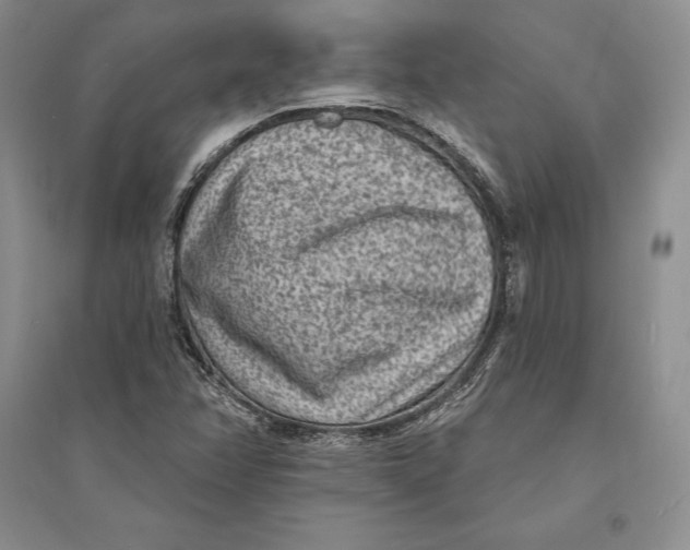 X0000094071358200711091142