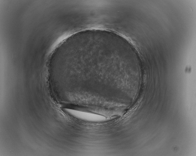 X0000094071359200711091142