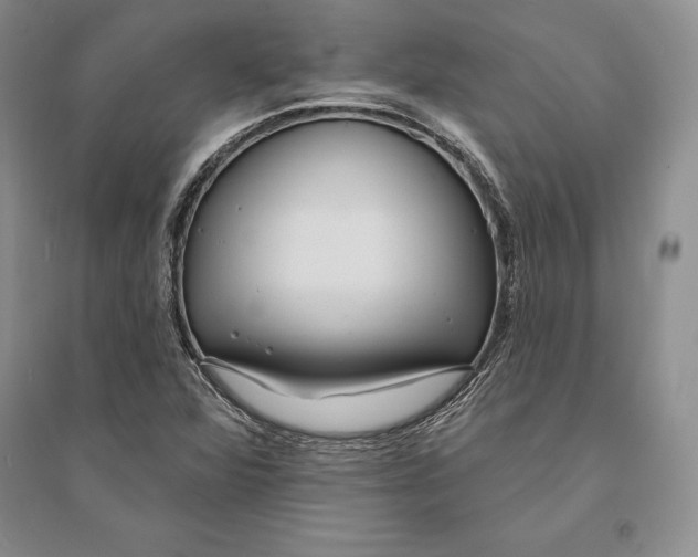 X0000094071360200711091142