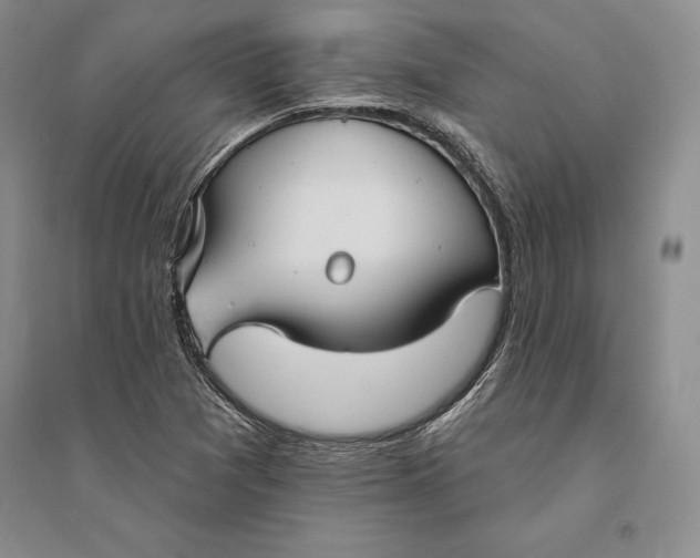 X0000094071361200711091142