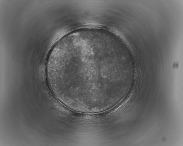 X0000094071362200711091142