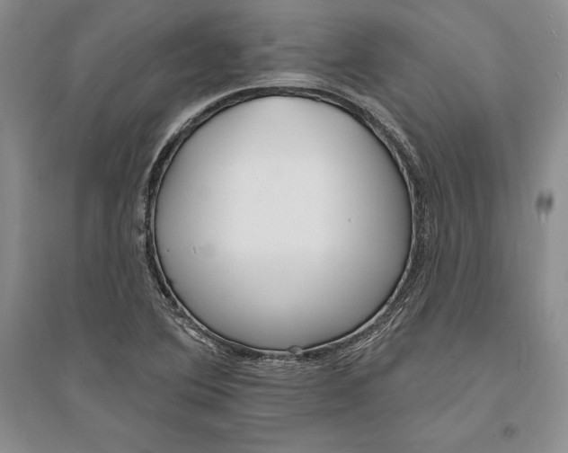 X0000094071364200711091142