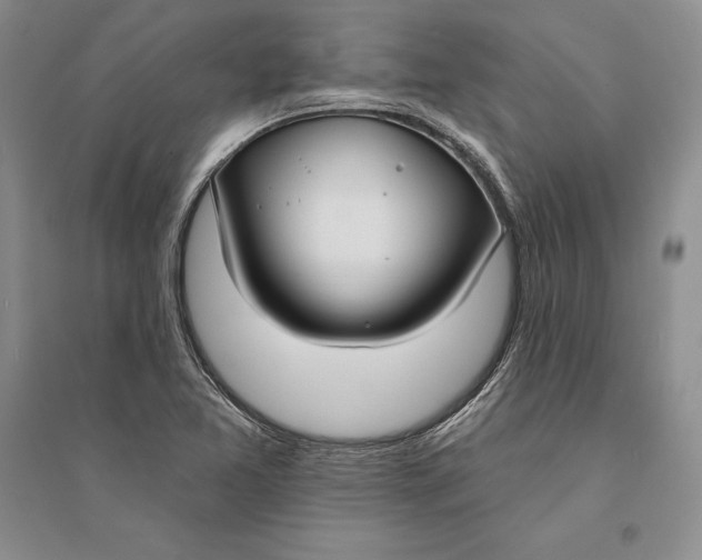 X0000094071365200711091142