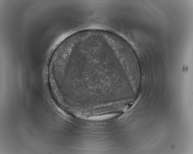 X0000094071367200711091142