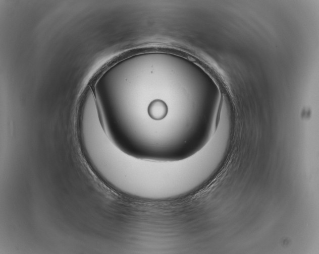 X0000094071368200711091142