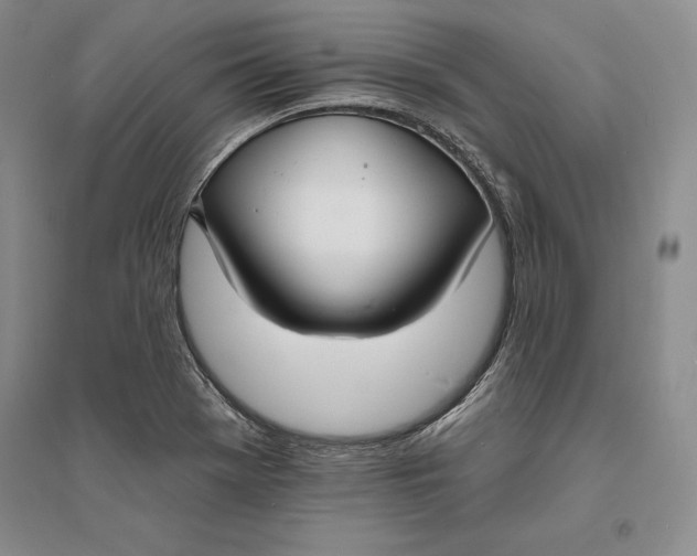 X0000094071369200711091142