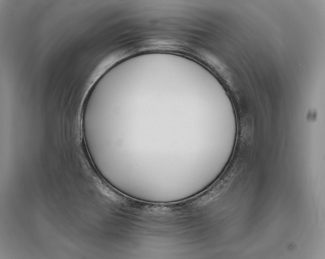 X0000094071370200711091142
