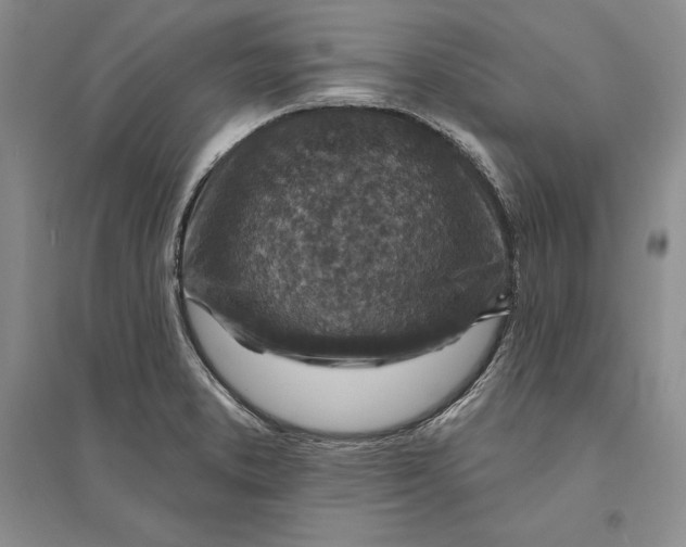 X0000094071373200711091142