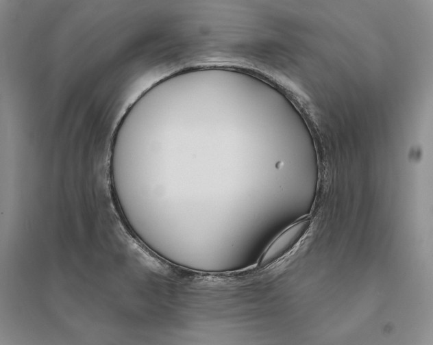 X0000094071374200711091142