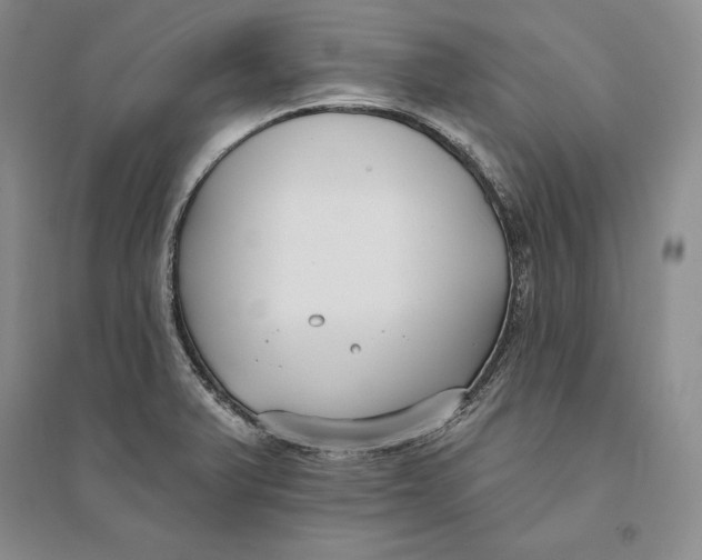X0000094071375200711091142