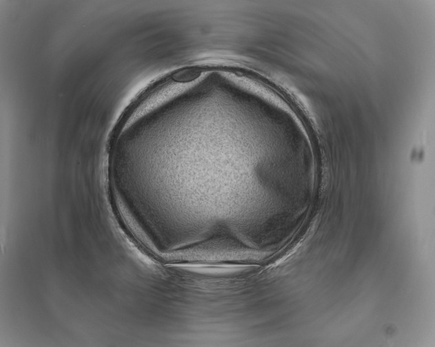 X0000094071376200711091142