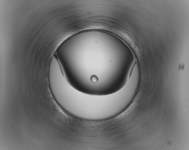 X0000094071377200711091142