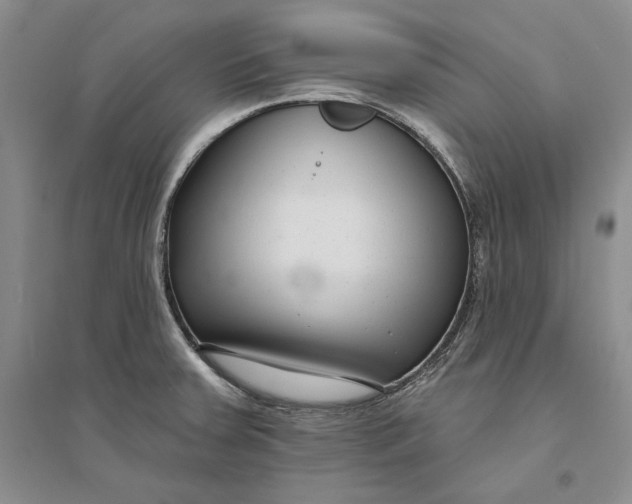 X0000094071379200711091142